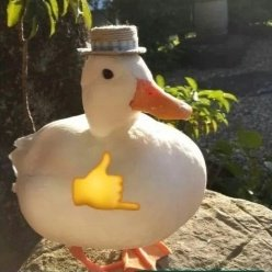 _images/patito.png
